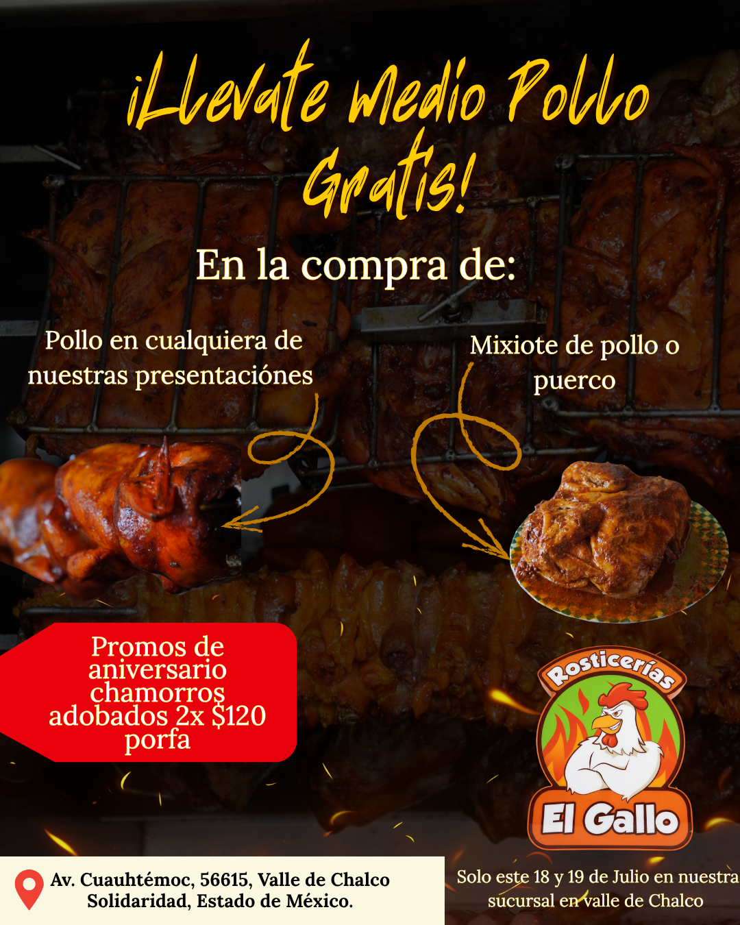 Gallo 7